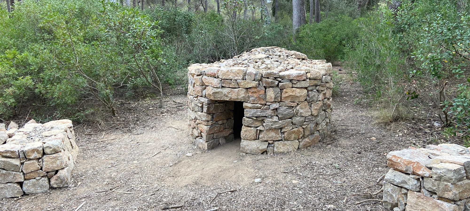 f08b8be6-3268-4695-a2bb-5950c364796d