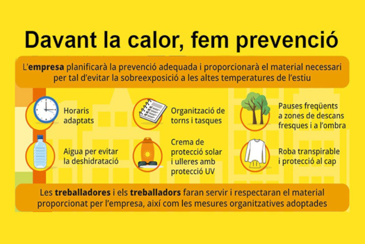 recomanacions